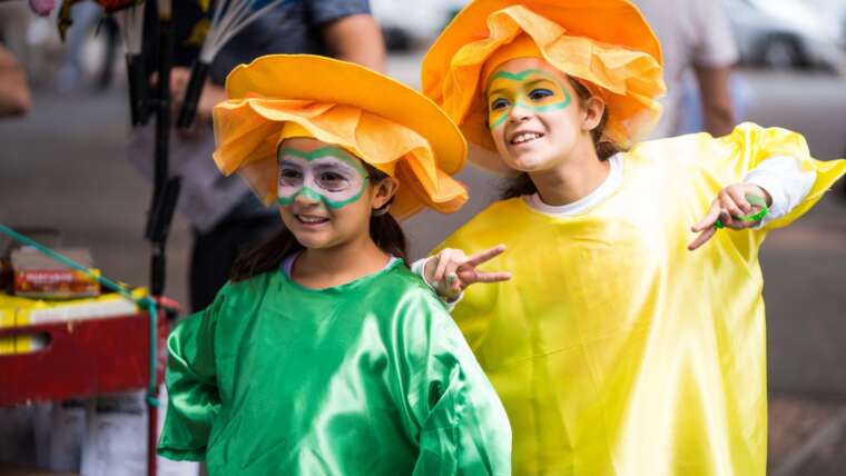 Carnaval de Ris-Orangis : Retour en images sur une journée haute en couleurs